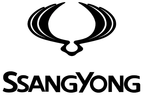 Ładowarka do SsangYong