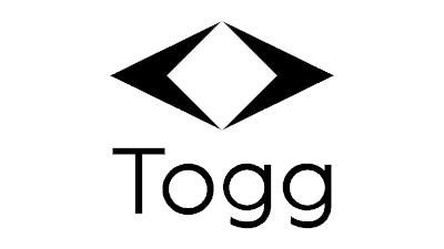 Ładowarka do Togg