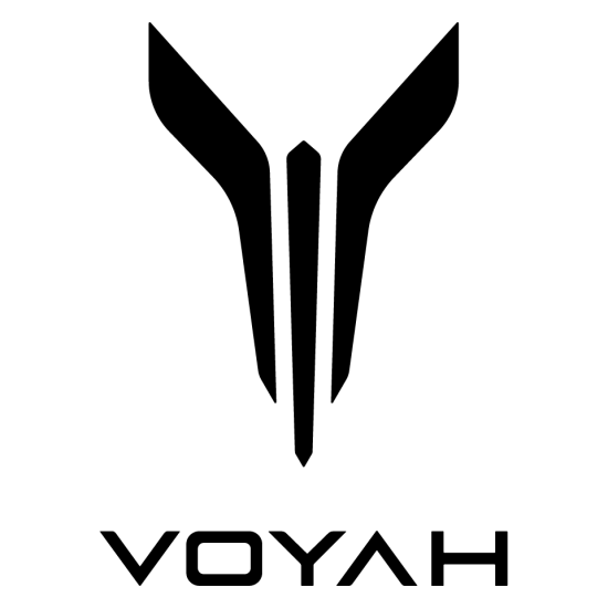Ładowarka do Voyah