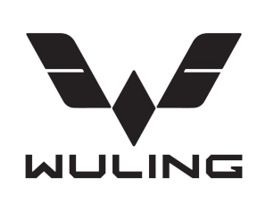 Ładowarka do Wuling